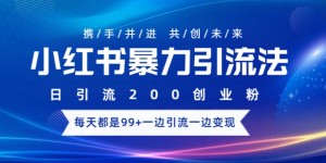 小红书暴力引流法，日引200精准创业粉，每天都是99+，边引流一边变现