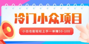 冷门小众项目，营业执照年审，小白也能轻松上手一单挣50-100