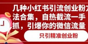 几种小红书引流创业粉方法合集，自热截流一手抓，引爆你的微信流量