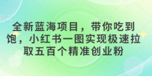 全新蓝海项目，带你吃到饱，小红书一图实现极速拉取五百个精准创业粉