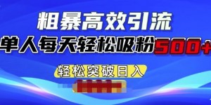 粗暴高效引流，单人每天轻松吸粉500+，轻松突破日入多张