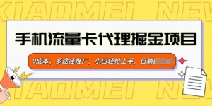 手机流量卡代理掘金项目，0成本，多途径推广，小白轻松上手