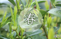 茶叶品牌推广(卖茶叶的最好销售方法)