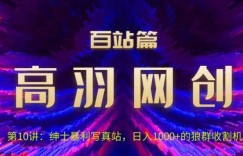 高羽网创百站篇第10讲：写真站项目绿色玩法，日进1k+狼群收割机