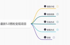 鸿铭网创88计之第四计：最新5.0男粉变现项目，带你月入1w+