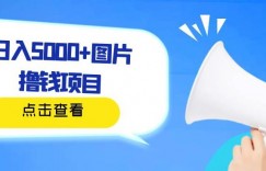 日入500+图片撸钱项目，一部手机操作，无需电脑，非常简单