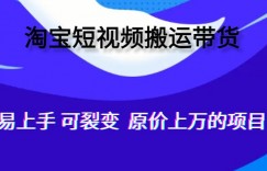 人人可做，通过全自动化软件搬运视频到淘宝卖货，轻松月入过万，可裂变