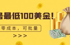 单号最低100美金，零成本，小白无脑操作，可复制，可扩大