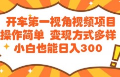 开车第一视角视频项目操作简单变现方式多样小白也能日入300