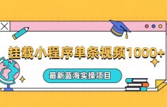 挂载小程序单条视频火了变现1000+，最新蓝海实操项目