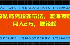 探探私域男粉新玩法，蓝海项目，月入2万，很轻松