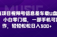 蓝海项目视频号信息差车载U盘项目，小白零门槛，一部手机可操作，轻轻松松日入300+