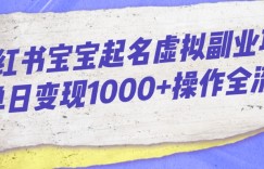 小红书宝宝起名虚拟副业项目单日变现1000+操作全流程