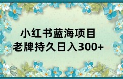 小红书老牌项目，新手小白值得操作，日入300+