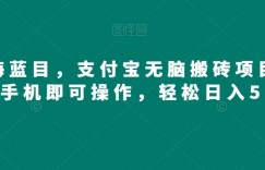 蓝海蓝目，支付宝无脑搬砖项目，一部手机即可操作，轻松日入500+