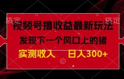 视频号分成计划最新玩法，单条作品几分钟制作完成,日入300+，过年前最后的冲刺