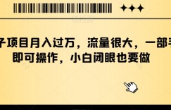 靠搭子项目月入过万，流量很大，一部手机即可操作，小白闭眼也要做