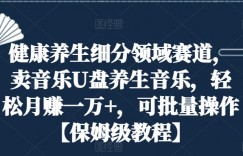 健康养生细分领域赛道，卖音乐U盘养生音乐，轻松月赚一万+，可批量操作【保姆级教程】