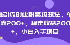 闲鱼引流创业粉高级玩法，单日引流200+，稳定收益2000+，小白入手项目