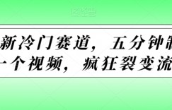 最新冷门赛道，五分钟制作一个视频，疯狂裂变流量