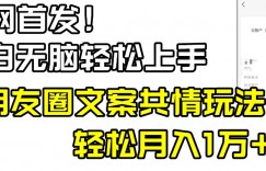 小白轻松无脑上手，朋友圈共情文案玩法，月入1W+