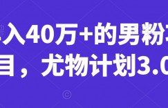 年入40万+的男粉项目，尤物计划3.0