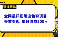 全网最详细引流男粉项目，多重变现单日收益300+