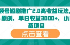 视频号短剧推广2.0高收益玩法，100%原创，单日收益3000+，小白必备项目