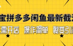 拼多多淘宝闲鱼最新引流方法，无需开店长久精准引流100+