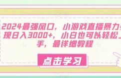 2024最强风口，小游戏直播暴力变现日入3000+，小白也可以轻松上手，最详细教程