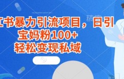 小红书暴力引流项目，日引宝妈粉100+，轻松变现私域