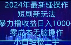 2024年骚操作短剧新玩法，暴力撸收益日入1000+，零成本无脑操作，小白轻松上手