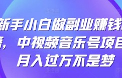 新手小白做副业赚钱秘籍，中视频音乐号项目，月入过万不是梦