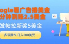 Google看广告撸美金，3分钟到账2.5美金，发帖拉新5美金，多号操作，日入200美元