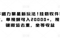 快手磁力聚星新玩法，挂载软件狂撸收益，单视频可入20000+，视频一键搬运去重，坐等收益