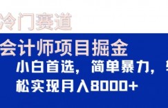 冷门赛道，会计师项目掘金，小白首选，简单暴力，轻松实现月入8000+