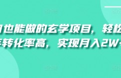 小白也能做的玄学项目，轻松上手转化率高，实现月入2W+