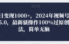 单日变现1000+，2024年视频号掘金5.0，最新骚操作100%过原创玩法，简单无脑，小白专属