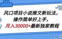 风口项目小说推文新玩法，操作简单好上手，月入30000+最新独家教程