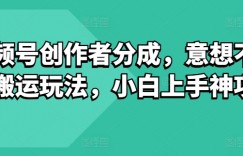 视频号创作者分成，意想不到的搬运玩法，小白上手神项目