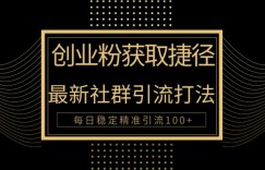 创业者捷径，最新被动引流方法大揭秘，实现100+精准引流