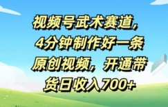 视频号武术赛道，4分钟制作好一条原创视频，开通带货日收入几张