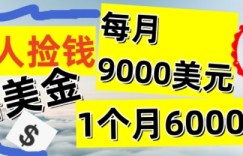 懒人捡钱撸美金项目，月收益9k+美金，简单无脑，干就完了