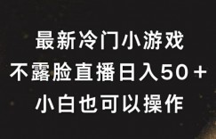 最新冷门游戏不露脸直播，轻松日入50+，小白也可操作