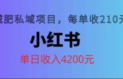 小红书减肥私域项目，每单210元，单日可卖出15单，利润3150