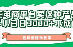 最新在电商平台发布这种产品，新手小白日入3k不成问题，最详细赚钱教学