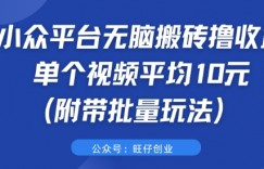 小众平台无脑搬砖撸收益 单个视频平均10元 (附带批量玩法)