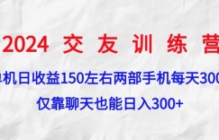 2024交友训练营，单机日收益150左右，两部手机，仅靠聊天也能日入3张