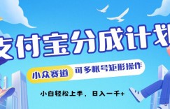 支付宝分成计划小众赛道可多号矩形操作，小白轻松上手