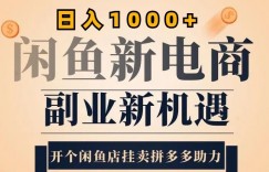 2024闲鱼虚拟升级玩法，实操落地项目，日入几张